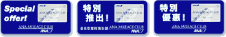 ANA Mileage Club Membership Card